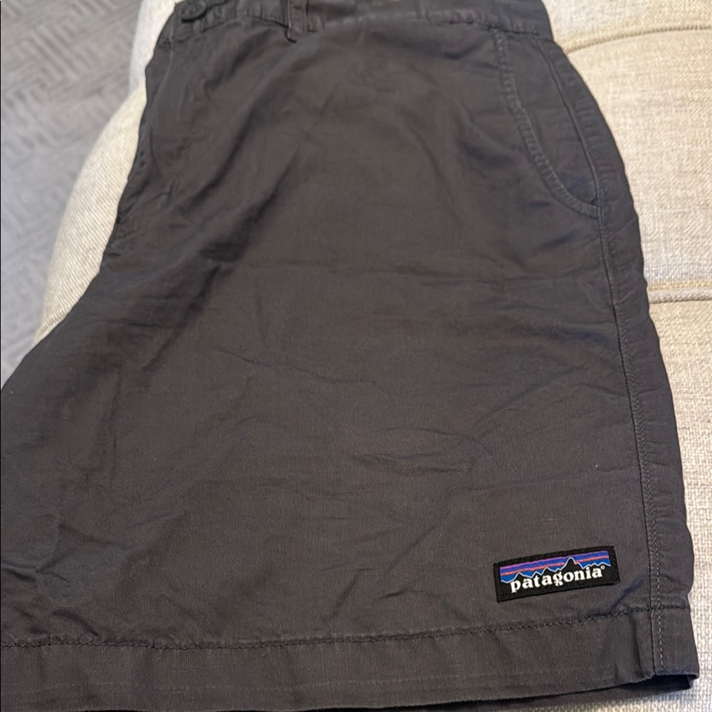 Patagonia Men's organic cotton Shorts